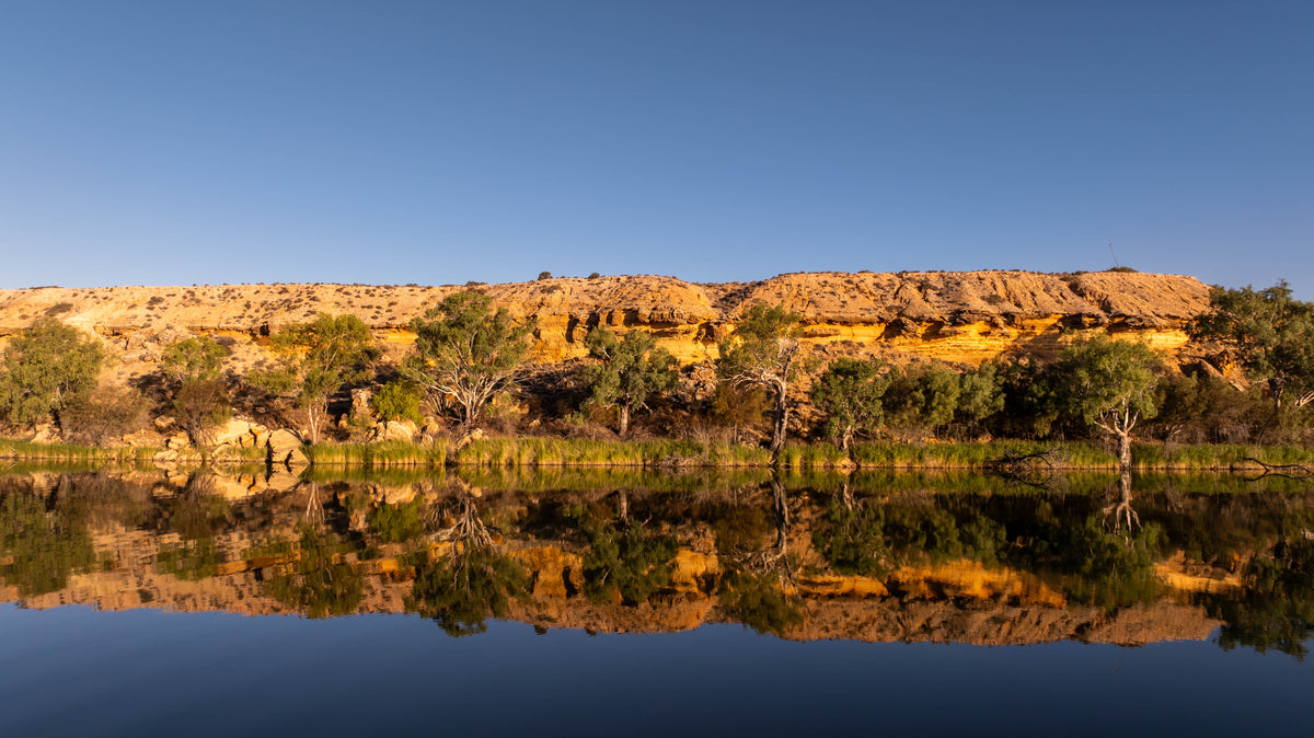 Golden river cliffs reflected in still water on the Murray