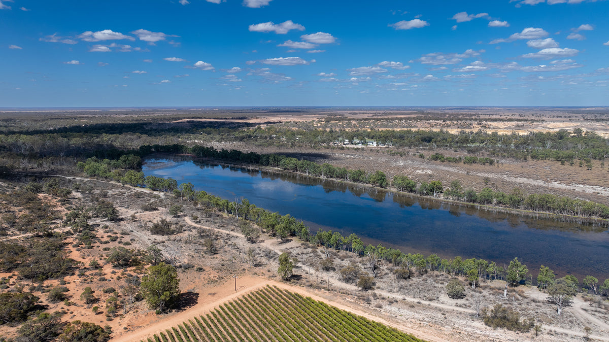 Aerial view of the Murray River with the vineyard in the foreground