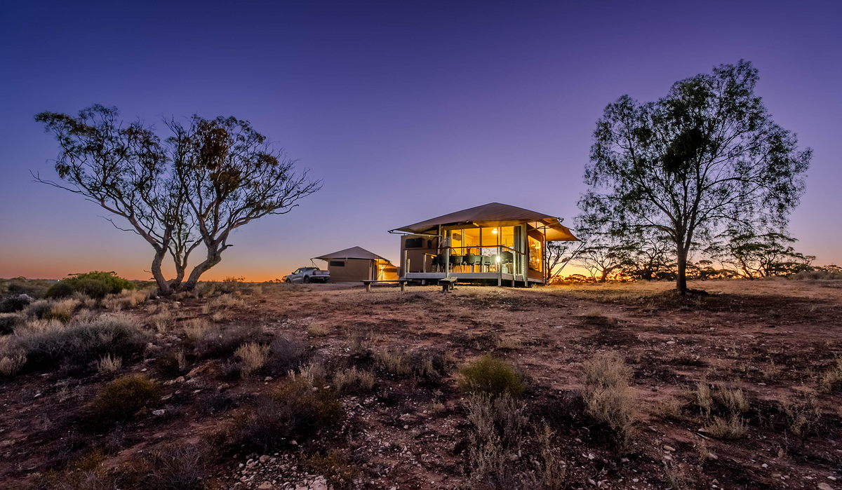 A luxury eco-suite glowing at dusk among native trees on the vineyard