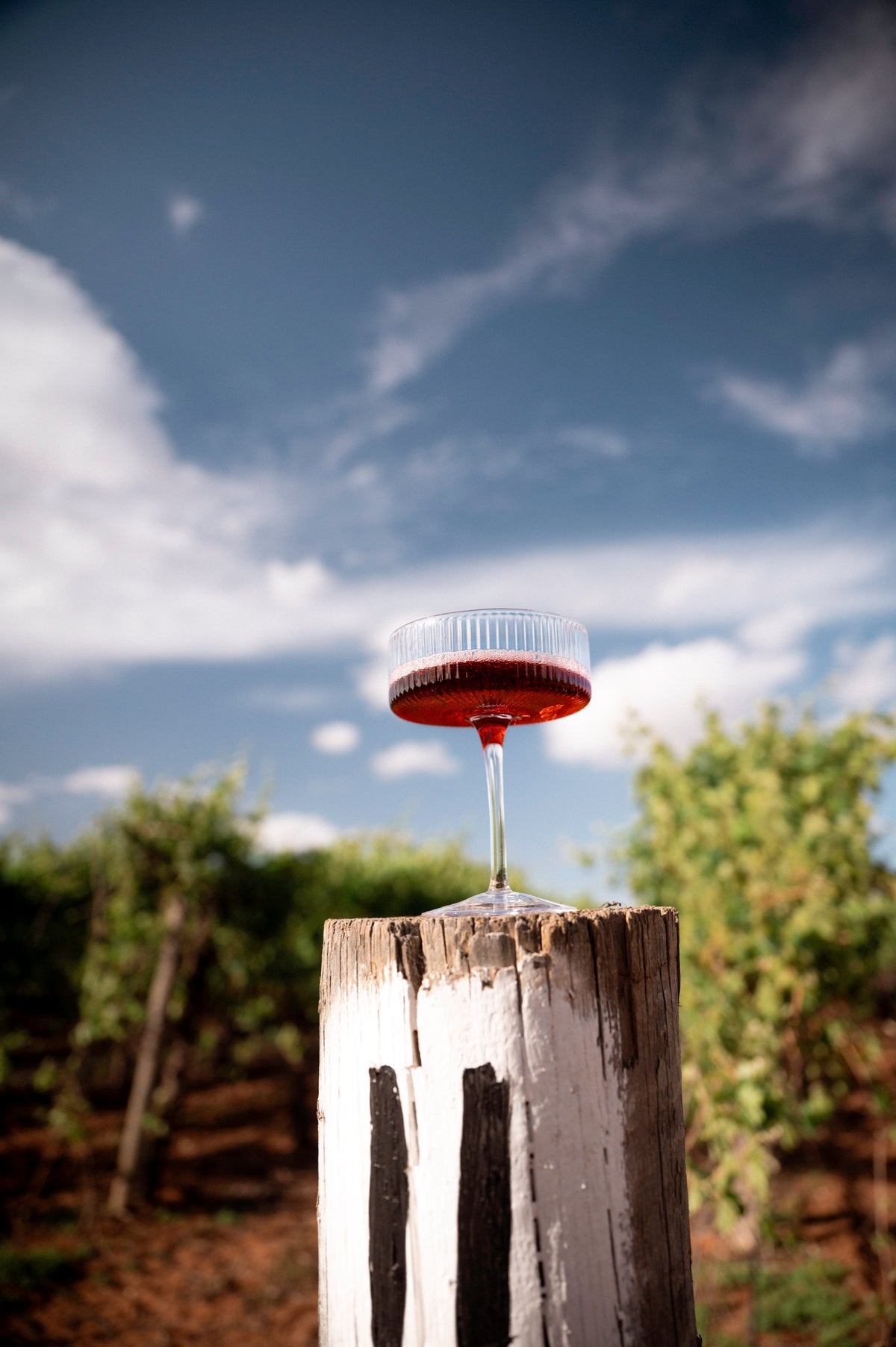 A glass of red wine resting on a weathered post among the vines